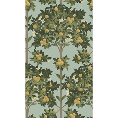 Cole & Son - Orange Blossom Lemon/Dk Olive Grn/Duck Egg (117/1002-CS) Wallpaper