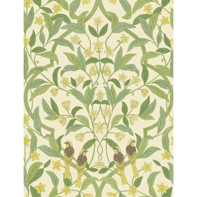 COLE & SON JASMINE & SERIN SYMPHONY PRINT--BOTANICAL & FLORAL- OLIVE GREEN,CHARTREUSE,BEIGE   - 117/10031.CS.0