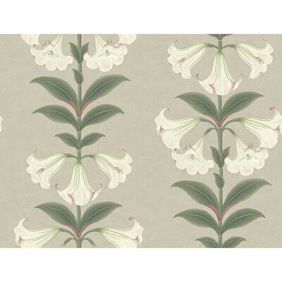 COLE & SON ANGELS TRUMPET PRINT--BOTANICAL & FLORAL- SAGE,BEIGE,GREY   - 117/3007.CS.0