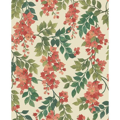 COLE & SON BOUGAINVILLEA PRINT--BOTANICAL & FLORAL- RED,GREEN,MULTI   - 117/6016.CS.0