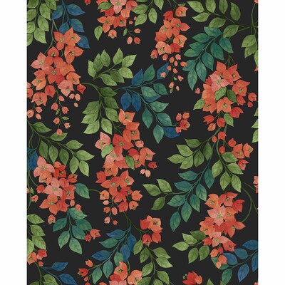 COLE & SON BOUGAINVILLEA PRINT--BOTANICAL & FLORAL- RED,BLACK,MULTI   - 117/6017.CS.0