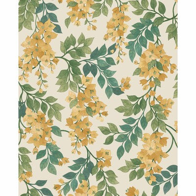 COLE & SON BOUGAINVILLEA PRINT--BOTANICAL & FLORAL- YELLOW,BEIGE,MULTI   - 117/6018.CS.0