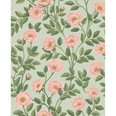 COLE & SON HAMPTON ROSES --BOTANICAL & FLORAL- MULTI,PINK,GREEN   - 118/7014.CS.0