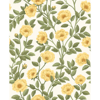 COLE & SON HAMPTON ROSES --BOTANICAL & FLORAL- MULTI,YELLOW,GREEN   - 118/7015.CS.0