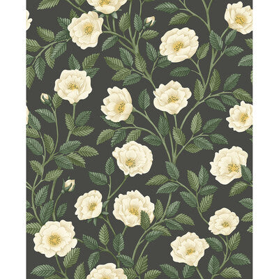 COLE & SON HAMPTON ROSES --BOTANICAL & FLORAL- CRM&FGRN/CH   - 118/7016.CS.0