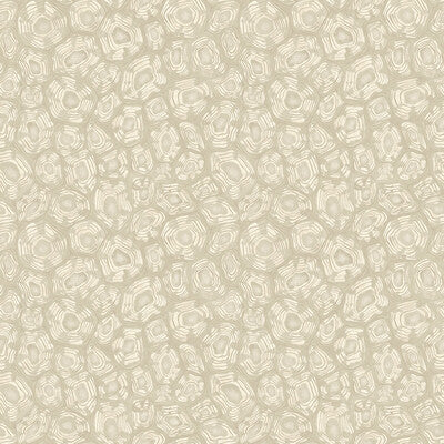 3 Rolls of Cole & Son Wallpaper 119/4021 Savanna Shell
