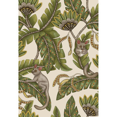 COLE & SON BUSH BABY PRINT--ANIMAL/INSECTS-BOTANICAL & FLORAL GREEN,GREY,   - 119/7032.CS.0