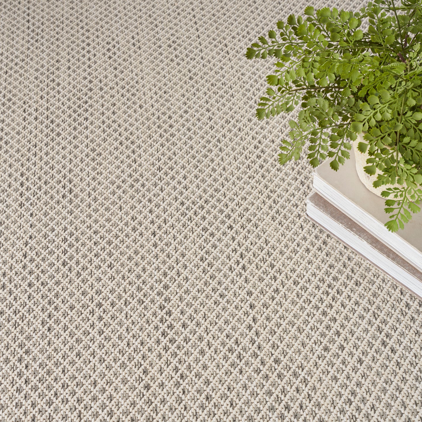 Beige textured woven rug with tiny diamond pattern; green potted fern atop white books in the corner.