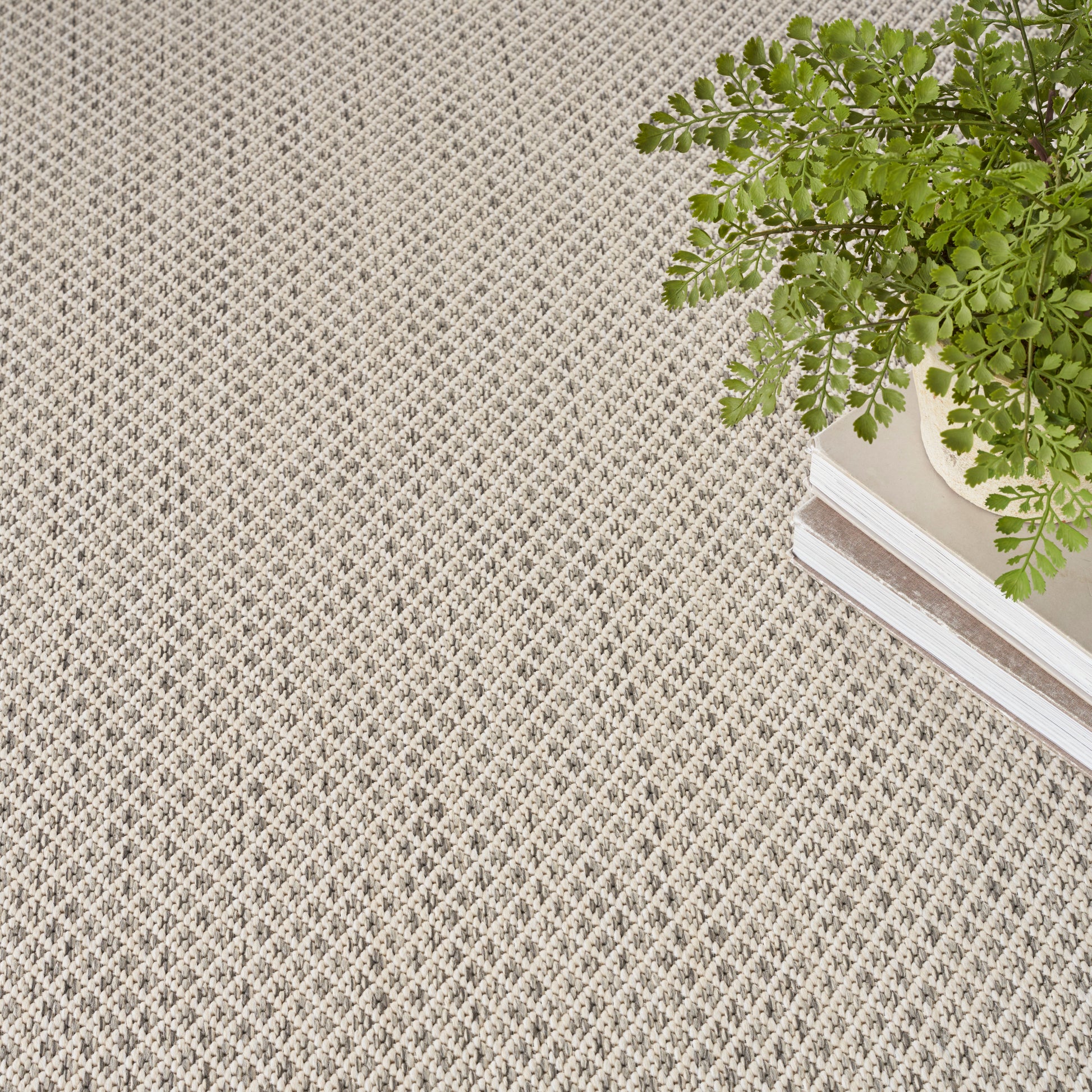 Beige textured woven rug with tiny diamond pattern; green potted fern atop white books in the corner.