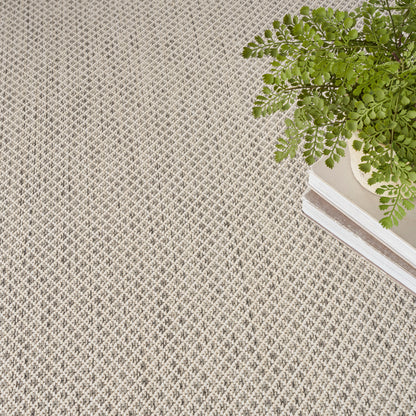 Beige textured woven rug with tiny diamond pattern; green potted fern atop white books in the corner.