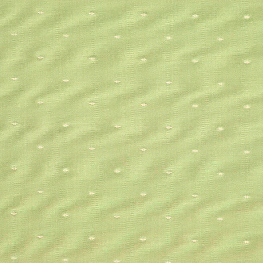 Robert Allen Dashford | Pistachio  Multipurpose     - 120549