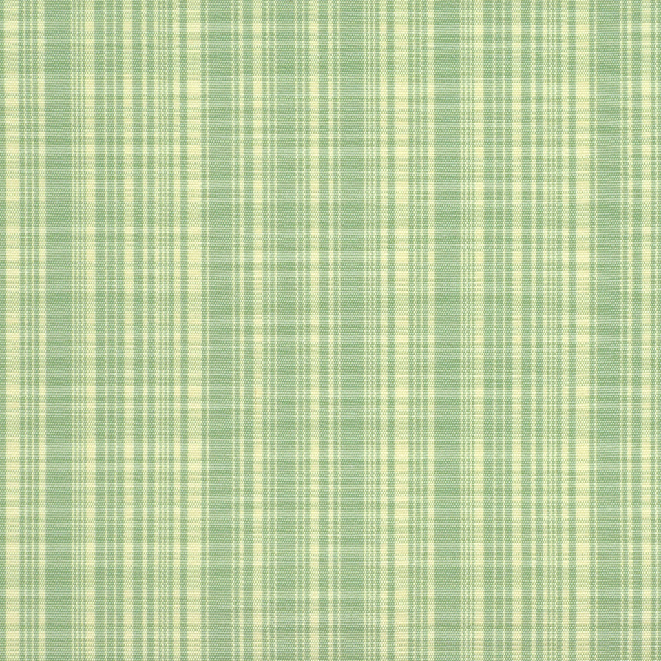 Robert Allen Hypolita | Pistachio  Multipurpose     - 120578