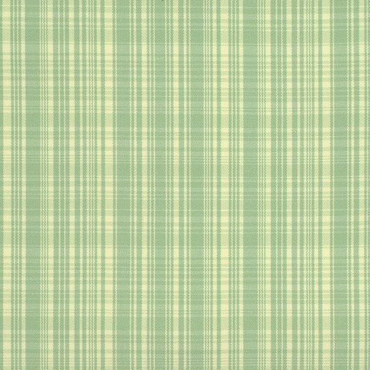 Robert Allen Hypolita | Pistachio  Multipurpose     - 120578