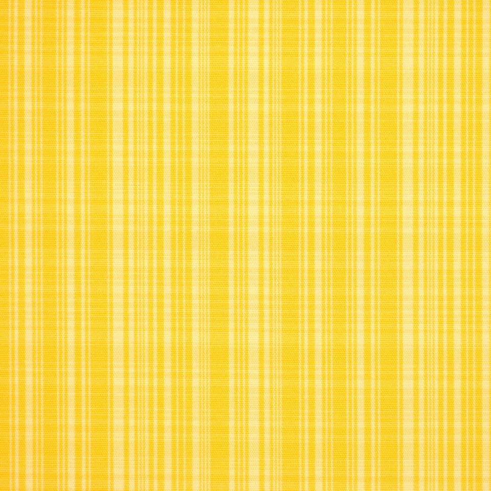 Robert Allen Hypolita | Sunshine  Multipurpose     - 120587