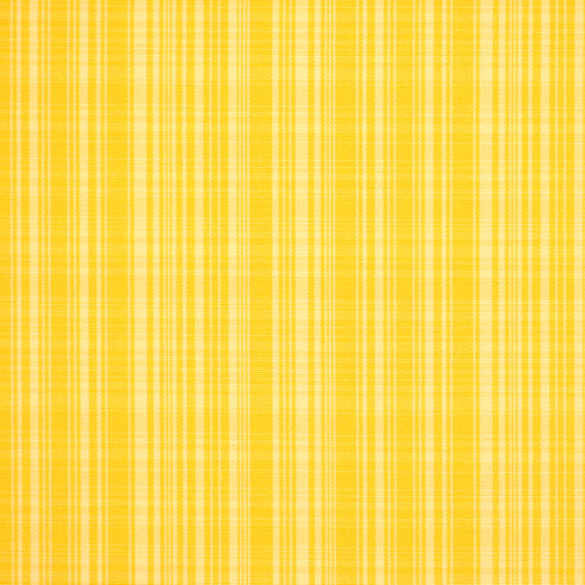 Robert Allen Hypolita | Sunshine  Multipurpose     - 120587