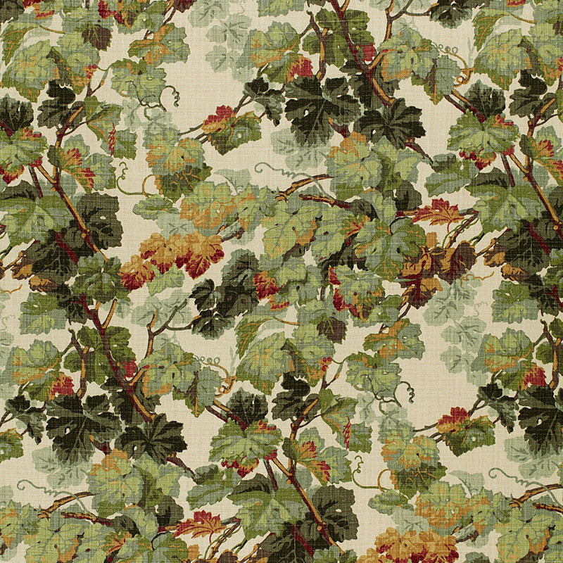 SCHUMACHER  A COUNTRY LIFE ARBOR VINE PRINTS PRINTS DOCUMENT   - 1212012