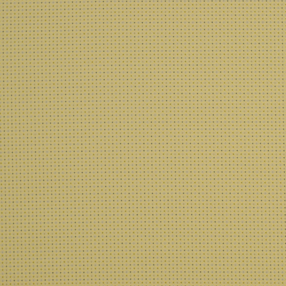 Robert Allen Murrietta | Pool  Multipurpose     - 123035