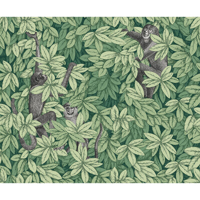 COLE & SON FOGLIE E SCIMMIE PRINT--ANIMAL/INSECTS-BOTANICAL & FLORAL GREEN,,   - 123/10049.CS.0