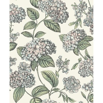 COLE & SON RAMO DI ORTENSIA PRINT--BOTANICAL & FLORAL- PINK,LIGHT BLUE,WHITE   - 123/8039.CS.0