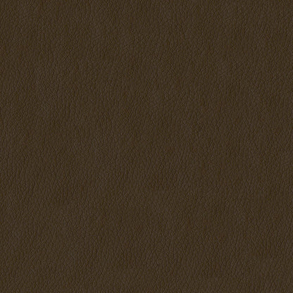 NICHOLASJOHN INC NJ-MIAMI Tan Solid   Fabric - NJ25-3528