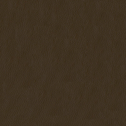 NICHOLASJOHN INC NJ-MIAMI Tan Solid   Fabric - NJ25-3528