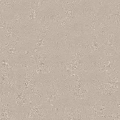 NICHOLASJOHN INC NJ-HOCK White Solid   Fabric - NJ25-1763