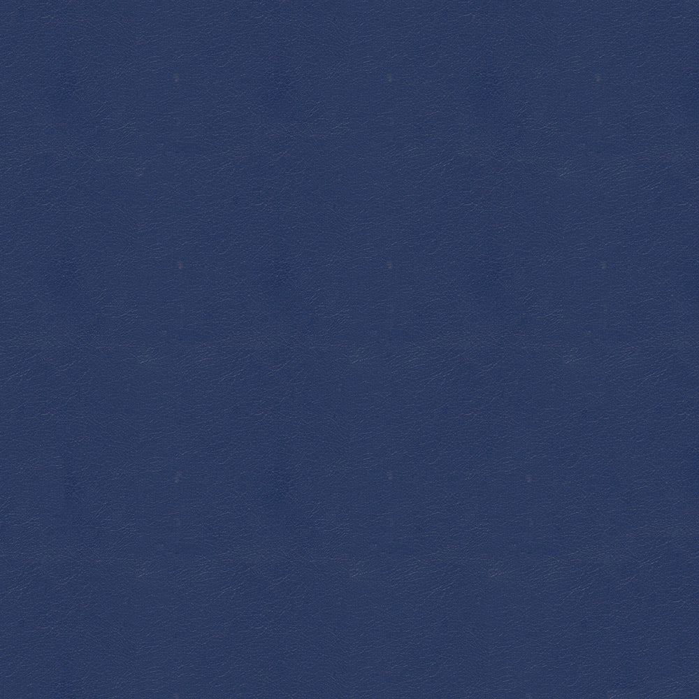 NICHOLASJOHN INC NJ-NAU Blue    Fabric - NJ25-2402