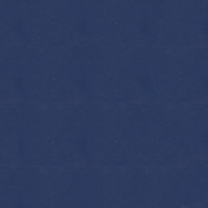NICHOLASJOHN INC NJ-NAU Blue    Fabric - NJ25-2402