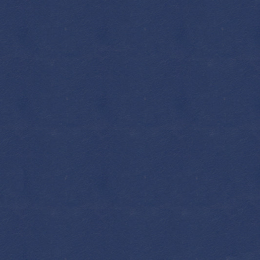NICHOLASJOHN INC NJ-NAU Blue    Fabric - NJ25-2402