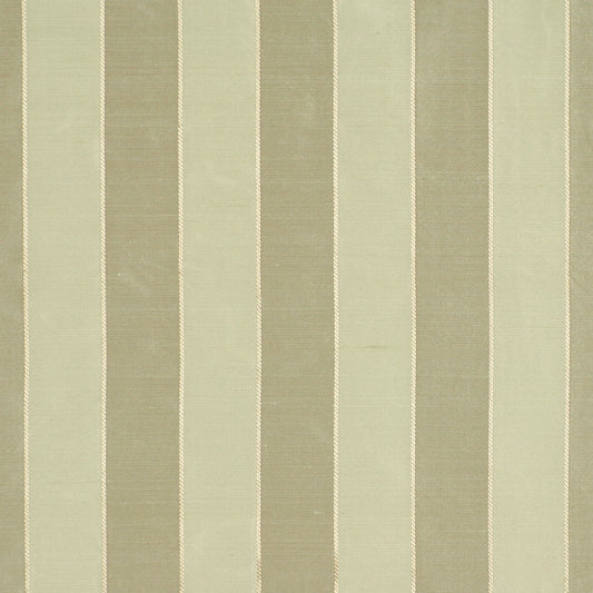 Robert Allen Bruschi | Basil  Multipurpose     - 133774