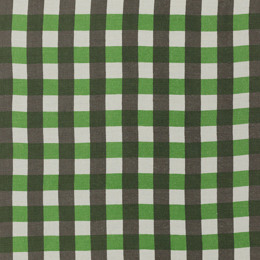 SCHUMACHER  RAOUL TEXTILES POLENG PRINTS PRINTS VERDE   - 133N94