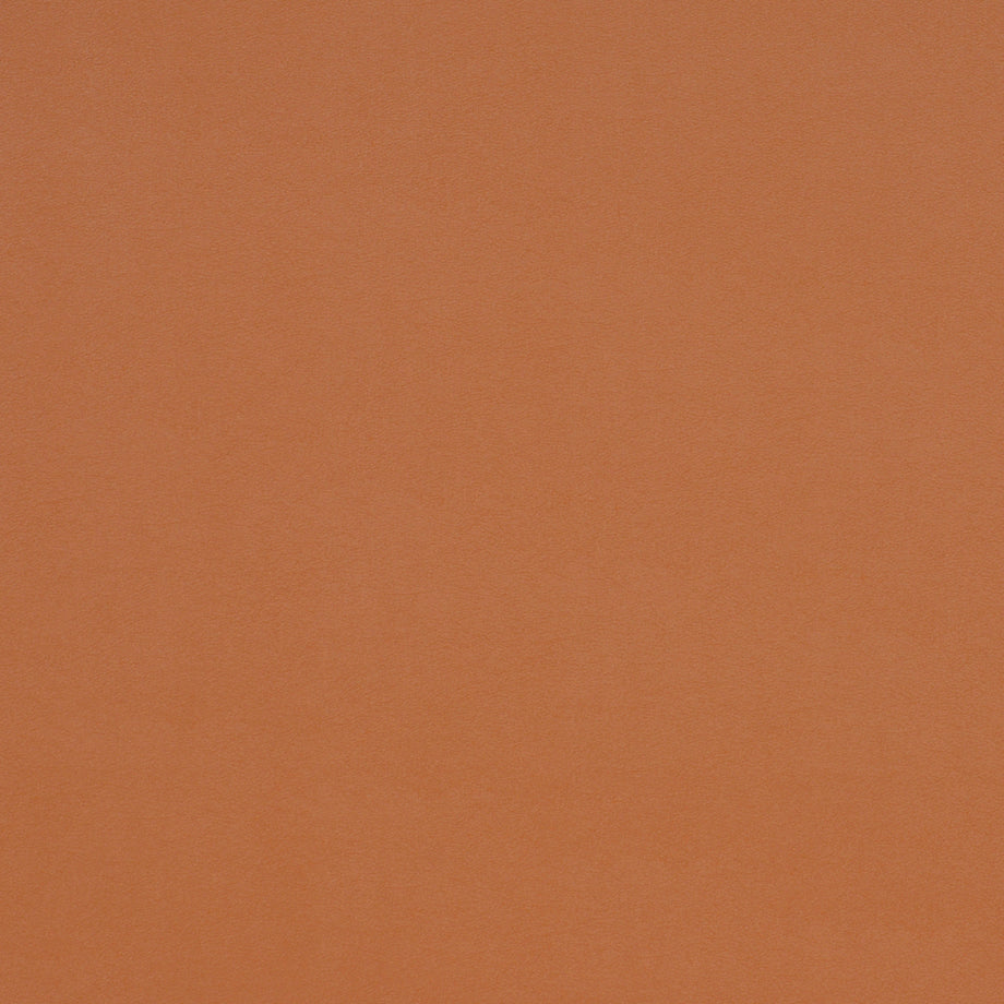 Solid terracotta orange color swatch with smooth, matte texture