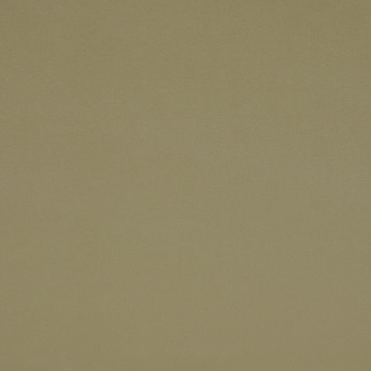 Robert Allen Galimatias | Avocado  Upholstery     - 136869