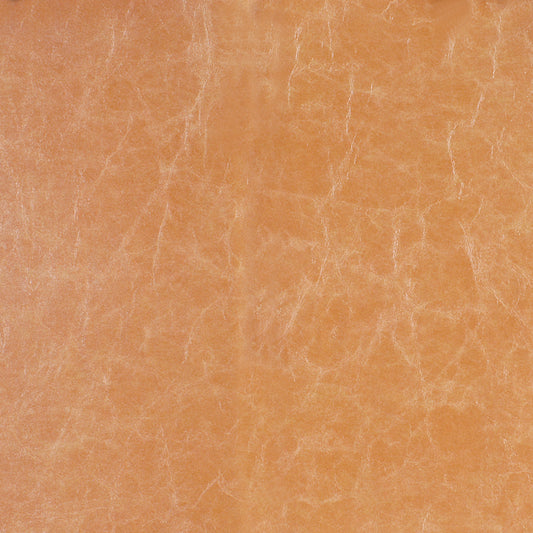 Robert Allen Surrogate | Natural  Upholstery     - 137000