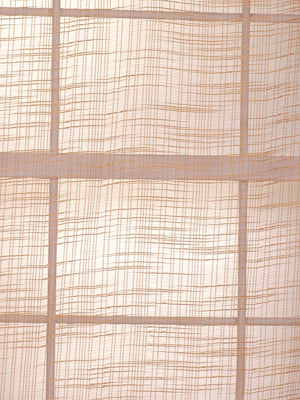 Robert Allen Zakim | Mango  Drapery     - 138449