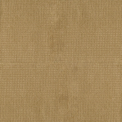 Beige textured terry cloth fabric close-up with small looped pile pattern.