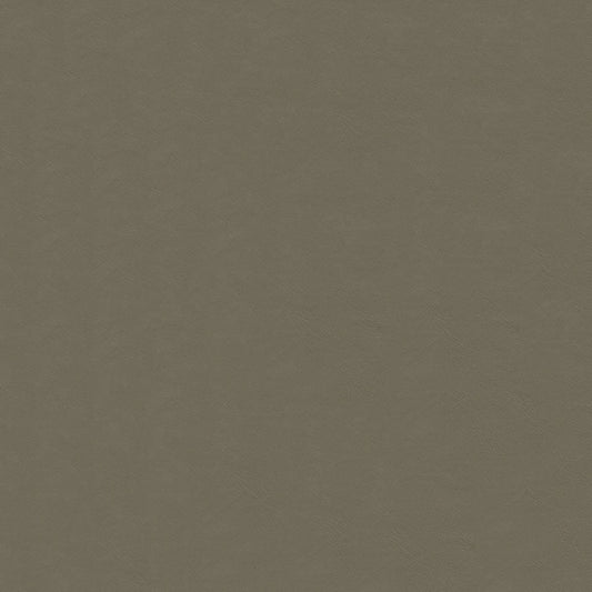 NICHOLASJOHN INC NJ-LUNN Brown Solid   Fabric - NJ25-2012