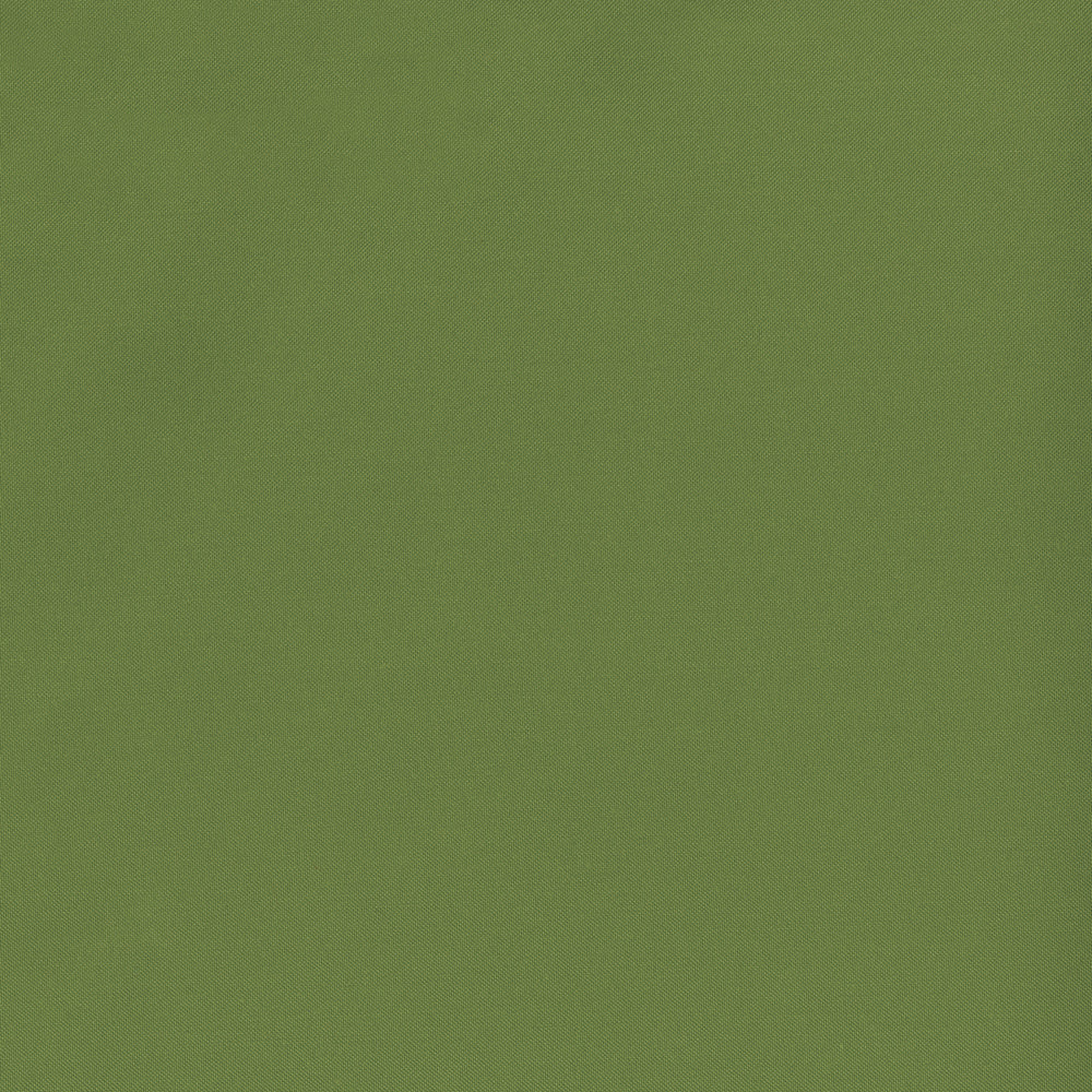 NICHOLASJOHN INC NJ-BANKS Fern Solid   Fabric - NJ25-2959