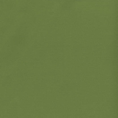 NICHOLASJOHN INC NJ-BANKS Fern Solid   Fabric - NJ25-2959