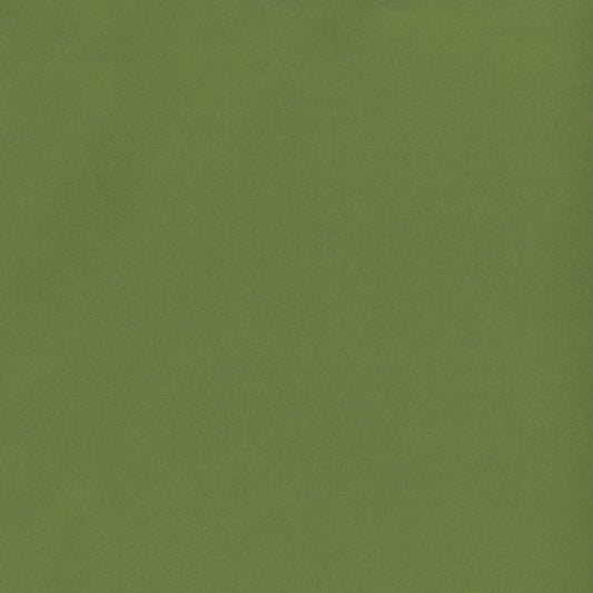 NICHOLASJOHN INC NJ-BANKS Fern Solid   Fabric - NJ25-2959