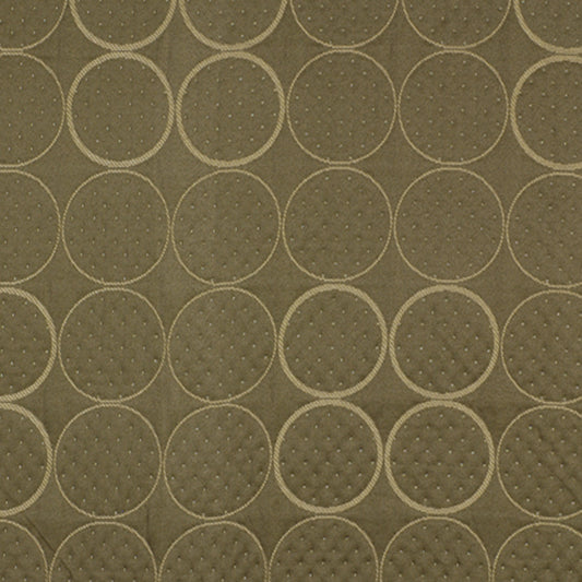 Robert Allen Binocular | Cactus  Upholstery     - 142648