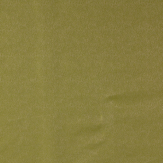 Robert Allen Kim Crackle | Celery  Upholstery     - 142880