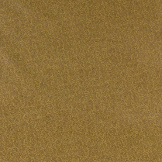 Robert Allen Kim Crackle | Cactus  Upholstery     - 142881