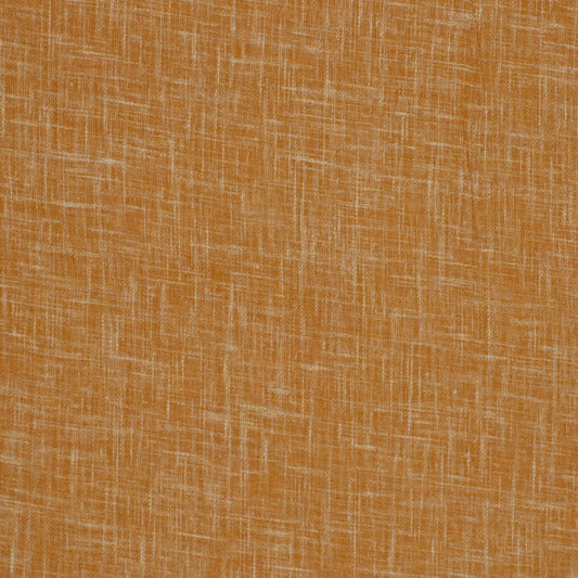 Robert Allen Alonso | Sunny  Drapery     - 149453