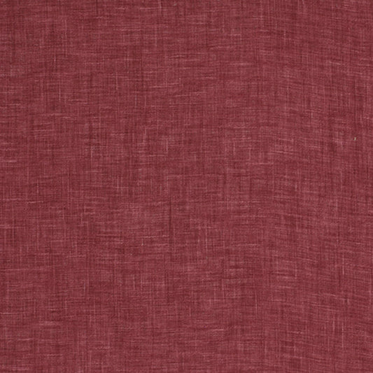 Robert Allen Korinthos | Bittersweet  Multipurpose     - 149531