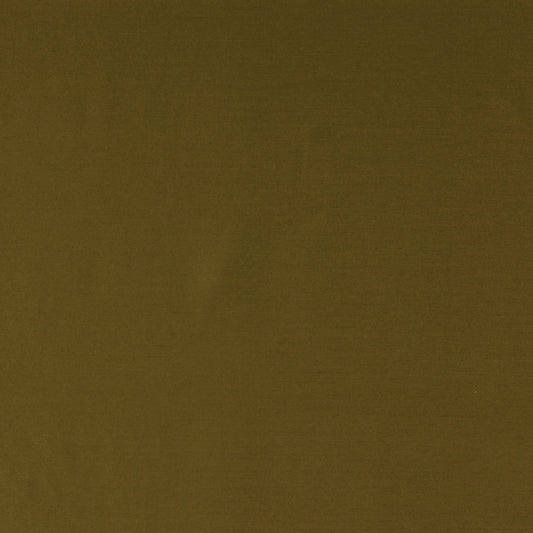 Robert Allen Taurus | Moss  Upholstery     - 149787