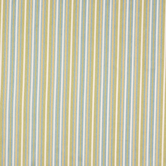 Robert Allen Sweet Stripes | Botanical  Upholstery     - 149818