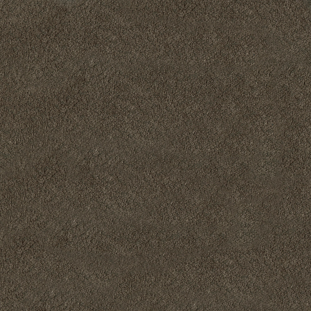 Peat solid fabric swatch with a soft nap and even color.