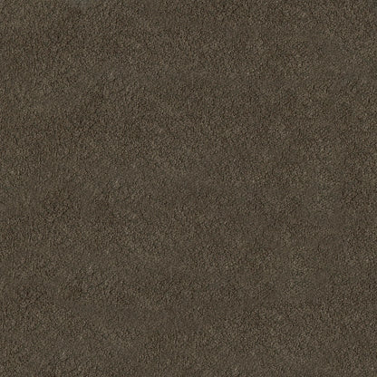 Peat solid fabric swatch with a soft nap and even color.
