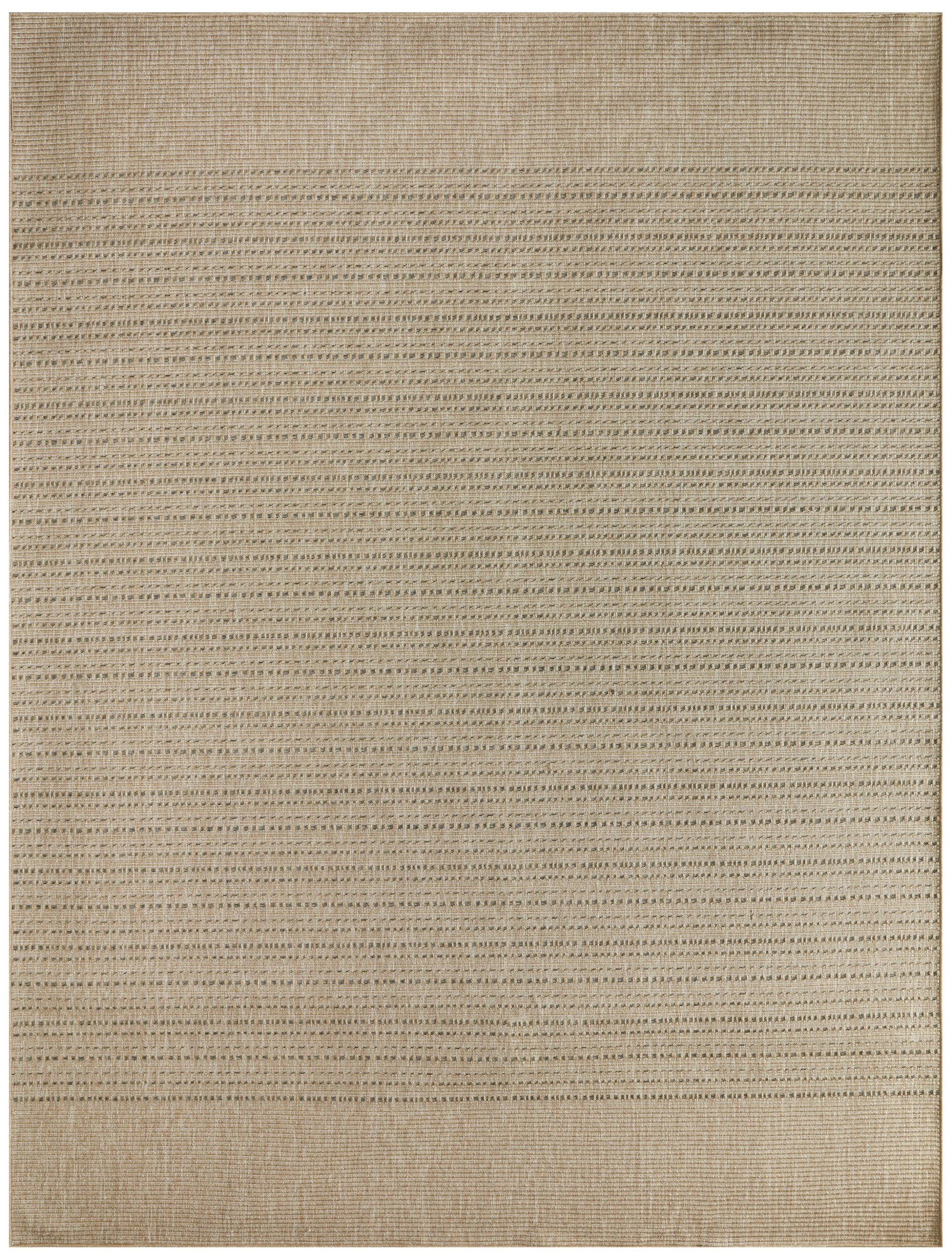 Natural beige flatweave jute rug with subtle horizontal stripes and a darker tan border.